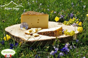 Our alpine cheese - all made from 100% hay milk