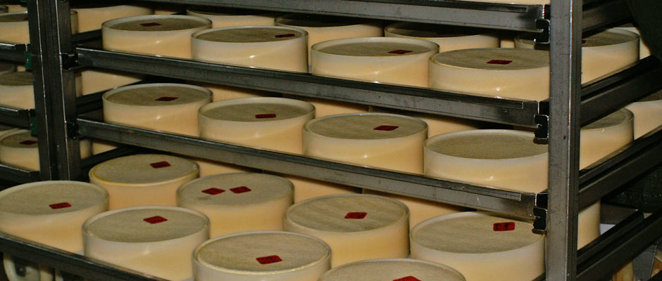 Cheese Development Bregenzerwald