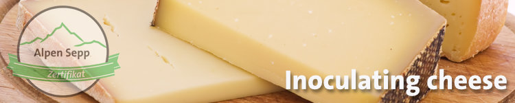 Inoculating cheese