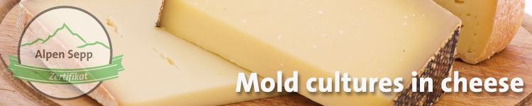 Mold cultures in cheese