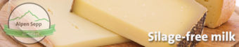 Silage-free milk