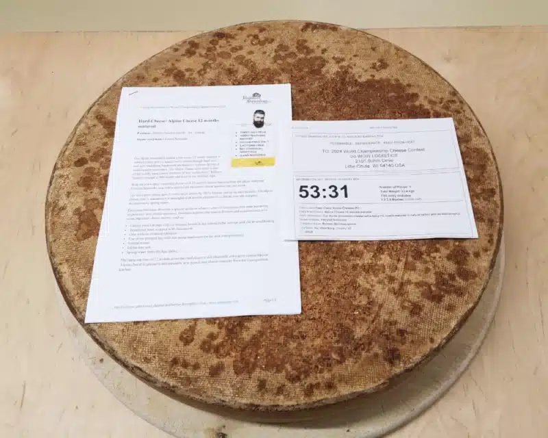 Alpine cheese spicy | Rehmer Sennhus | World Championship Cheese Contest 2024 Wisconsin