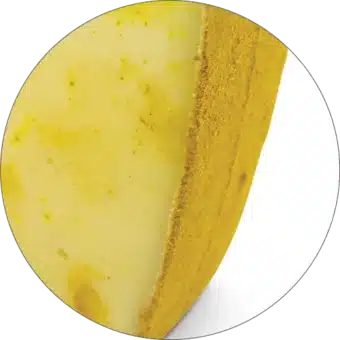 CHEESE REHMOCTA® » Ähle « | Lactose-Free Hay Milk Cheese Variety Refined with STAY SPICED! Spice Blend and Fine Cinnamon | 100% Delightful Enjoyment Guarantee