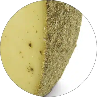 CHEESE REHMOCTA® » Der Bärige « | Refined, Lactose-Free Cheese Variety Straight from the Cheese Cellar | Smoothly Melting with a Unique Bärwurz Character