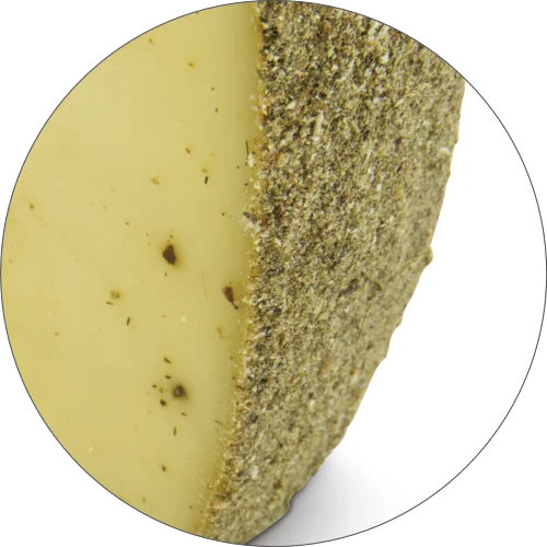 CHEESE REHMOCTA® » Der Bärige « | Refined, Lactose-Free Cheese Variety Straight from the Cheese Cellar | Smoothly Melting with a Unique Bärwurz Character