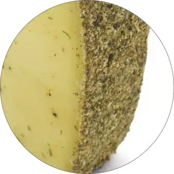 CHEESE REHMOCTA® » Dätta « | Lactose-Free Hay Milk Cheese Variety Refined with STAY SPICED! Spice Blend and Pepper | 100% Exciting Enjoyment Guarantee