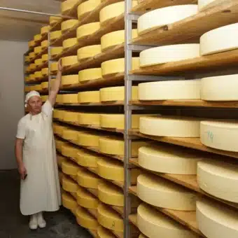 kaesekeller hermann alpensepp 1000