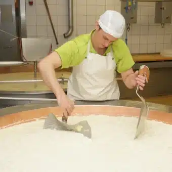 ALPENSEPP 4.0 | Mountain Cheese Test Promotion | Austrian lactose-free mild and spicy hard cheese | 2 kg