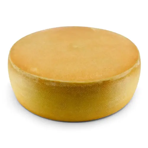 APPLE CIDER CHEESE WHEEL semi-hard | 100% Mild Taste Guarantee | Lactose-Free Deluxe Austrian Cheese Straight from the Cheese Cellar | Mostkäse. Feedimage.