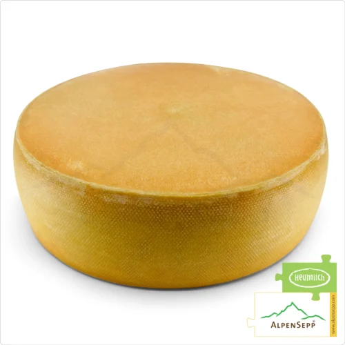APPLE CIDER CHEESE, Whole Wheel | MOSTKÄSE | Austrian Lactose-free semi-hard cheese | 8,1 kg | Mostkäse 1 APPLE CIDER CHEESE WHEEL semi-hard | 100% Mild Taste Guarantee | Lactose-Free Deluxe Austrian Cheese Straight from the Cheese Cellar | Mostkäse