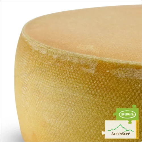 APPLE CIDER CHEESE, Whole Wheel | MOSTKÄSE | Austrian Lactose-free semi-hard cheese | 8,1 kg | Mostkäse 7 APPLE CIDER CHEESE WHEEL semi-hard | 100% Mild Taste Guarantee | Lactose-Free Deluxe Austrian Cheese Straight from the Cheese Cellar | Mostkäse