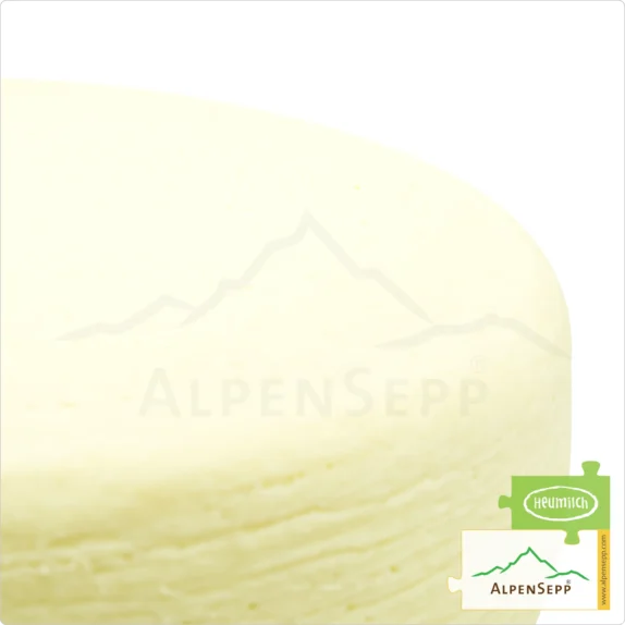 SMELLY SPICY CHEESE wet matured, Whole Wheel | RÄSSKÄSE nassgereift | Austrian Lactose-free semi-hard cheese | 6 kg 8 SMELLY SPICY CHEESE, wet-aged | Lactose-free Austrian PREMIUM semi-hard cheese, directly from the cheese cellar | 100% extremely intense taste guarantee | Rässkäse - nassgereift