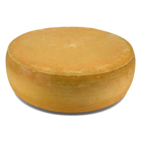 CHEESE WHEEL