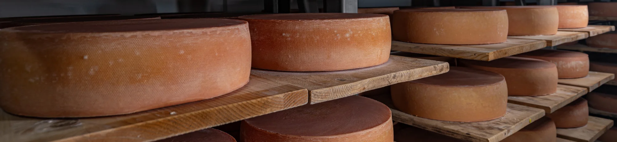 cheese cellar header