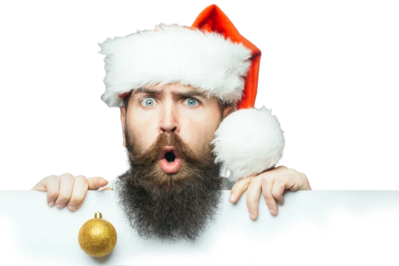 Christmas fence