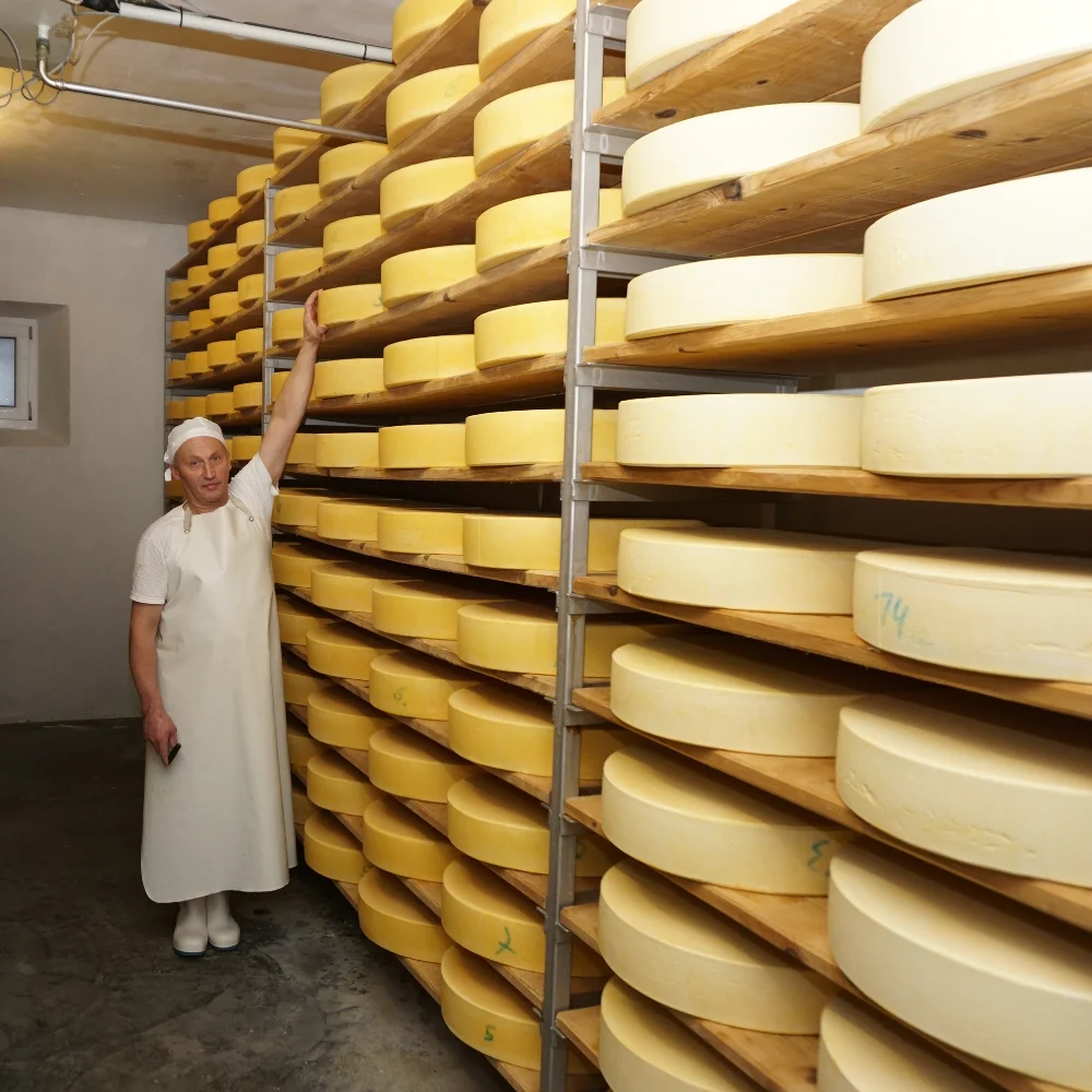 Hay milk cheese cellar