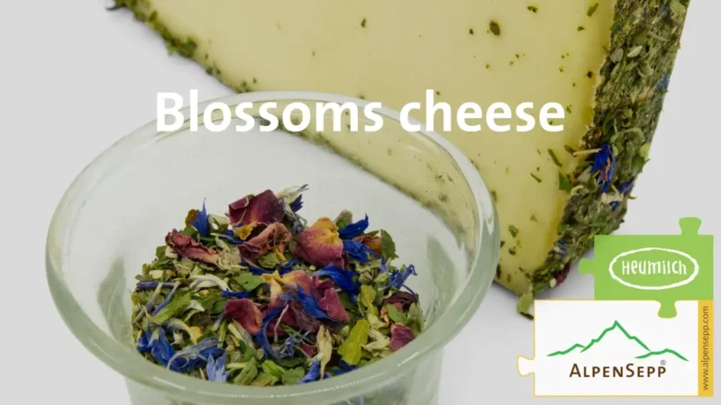 Culinary experience blossoms cheese
