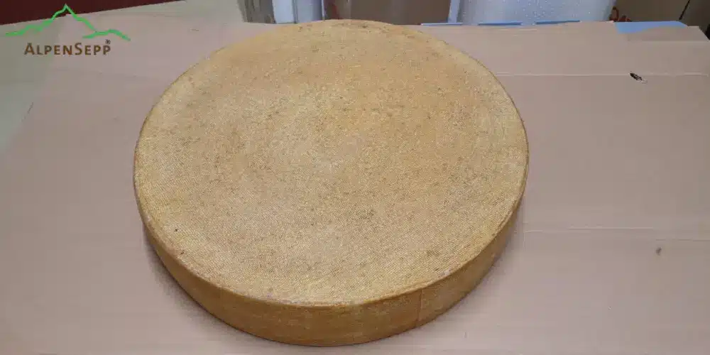 World Championship Cheese Contest 2026 | Rehmer Alpine Cheese, 9 months old
