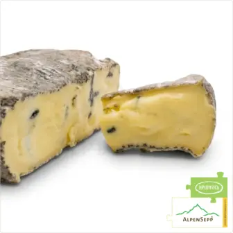 BLUE MOLD CAMEMBERT made from Bregenzerwald hay milk | Pure nature from the original Grauvieh | 240 g 12 BLUE MOLD CAMEMBERT made from Bregenzerwald hay milk | Pure nature from the original Grauvieh | 4 weeks