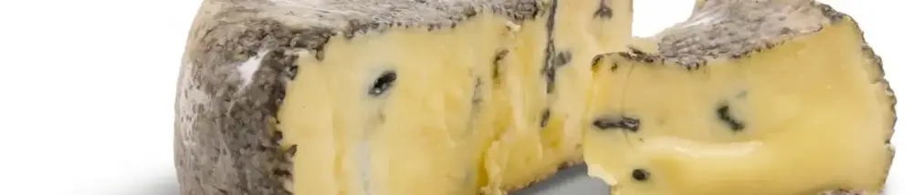 BLUE MOLD CAMEMBERT made from Bregenzerwald hay milk | Pure nature from the original Grauvieh | 4 weeks