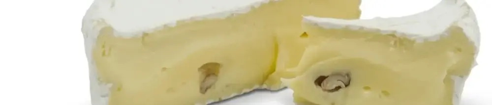 Camembert with WALNUTS made from Bregenzerwald hay milk | Pure nature from the original Grauvieh