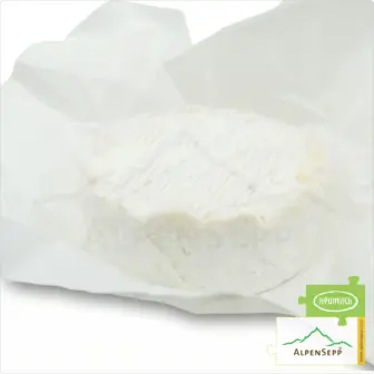 Camembert with WALNUTS made from Bregenzerwald hay milk | Pure nature from the original Grauvieh | 240 g 11 Camembert with WALNUTS made from Bregenzerwald hay milk | Pure nature from the original Grauvieh | fresh